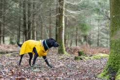 Rukka Pets Stream raincoat