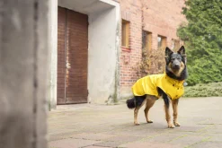 Rukka Pets Stream raincoat