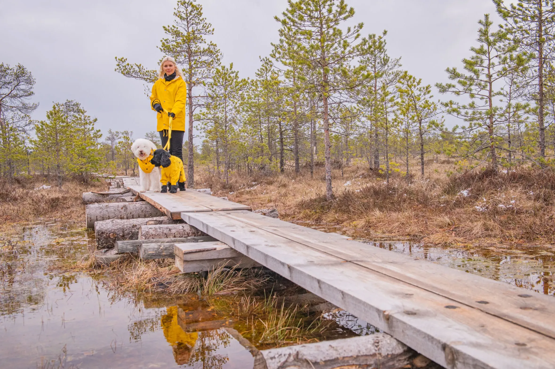 Rukka Pets Stream raincoat