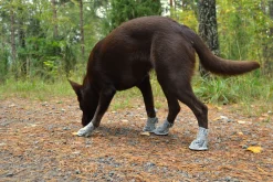 Rukka Pets Summer Shoes 2pcs
