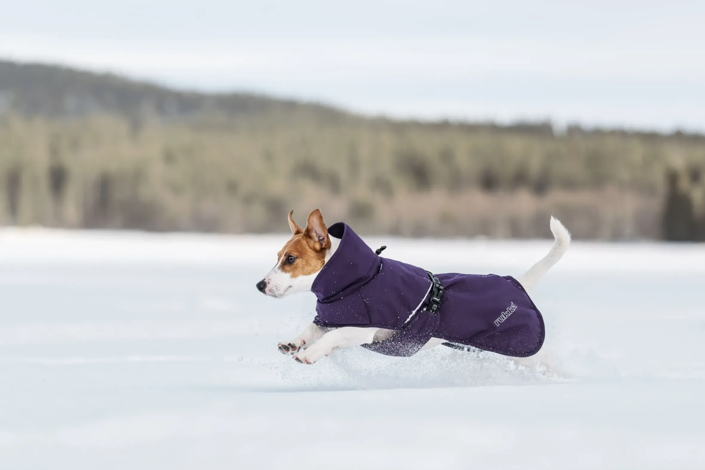 Rukka Pets Trust Foil Coat