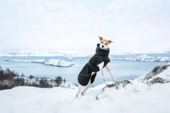 Rukka Pets Warmup 2.0 coat