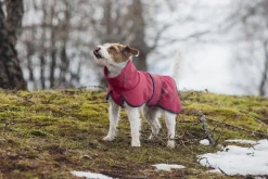 Rukka Pets Windy thermal jacket