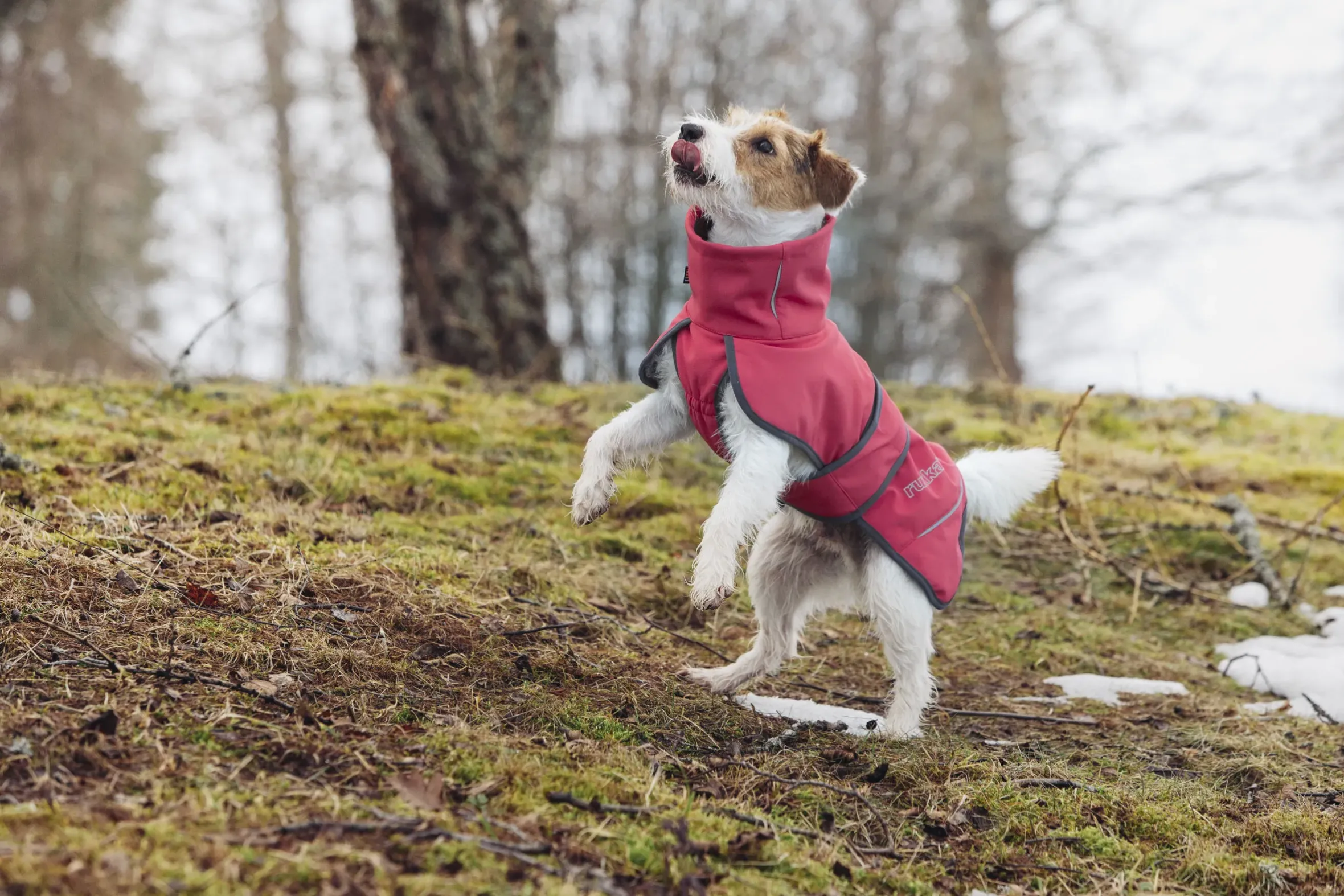 Rukka Pets Windy thermal jacket