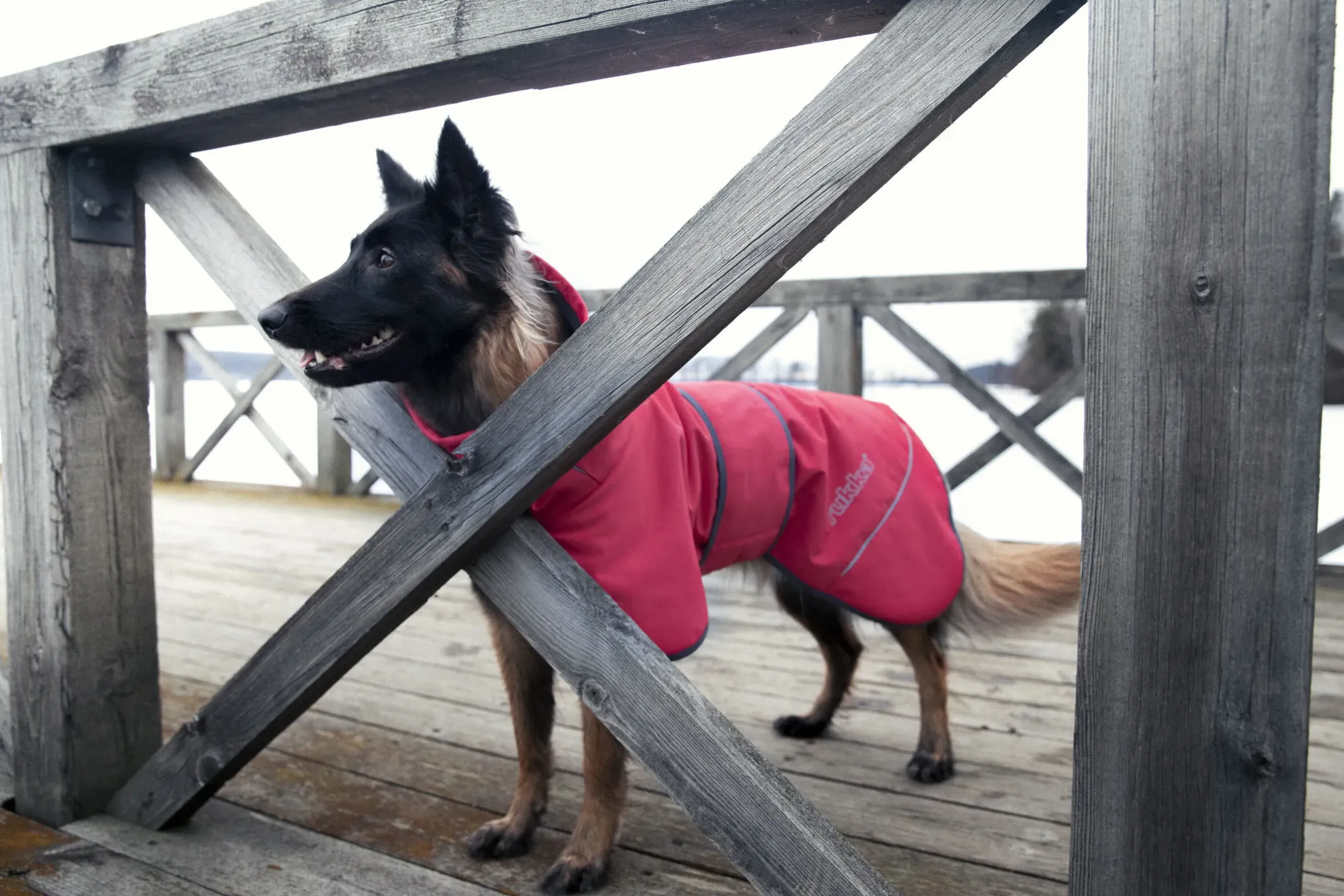 Rukka Pets Windy thermal jacket
