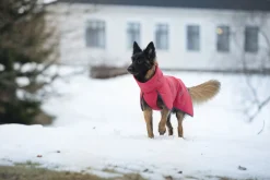 Rukka Pets Windy thermal jacket